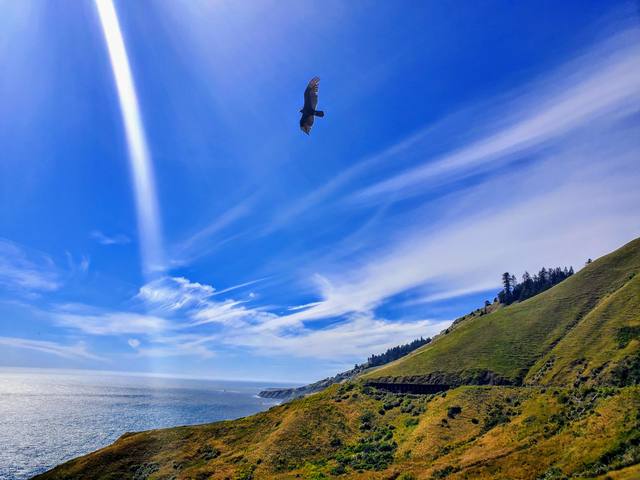 Afternoon reflections