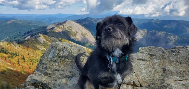 Photo from September 30, 2023